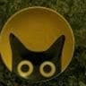 stannicapple&apos;s profile