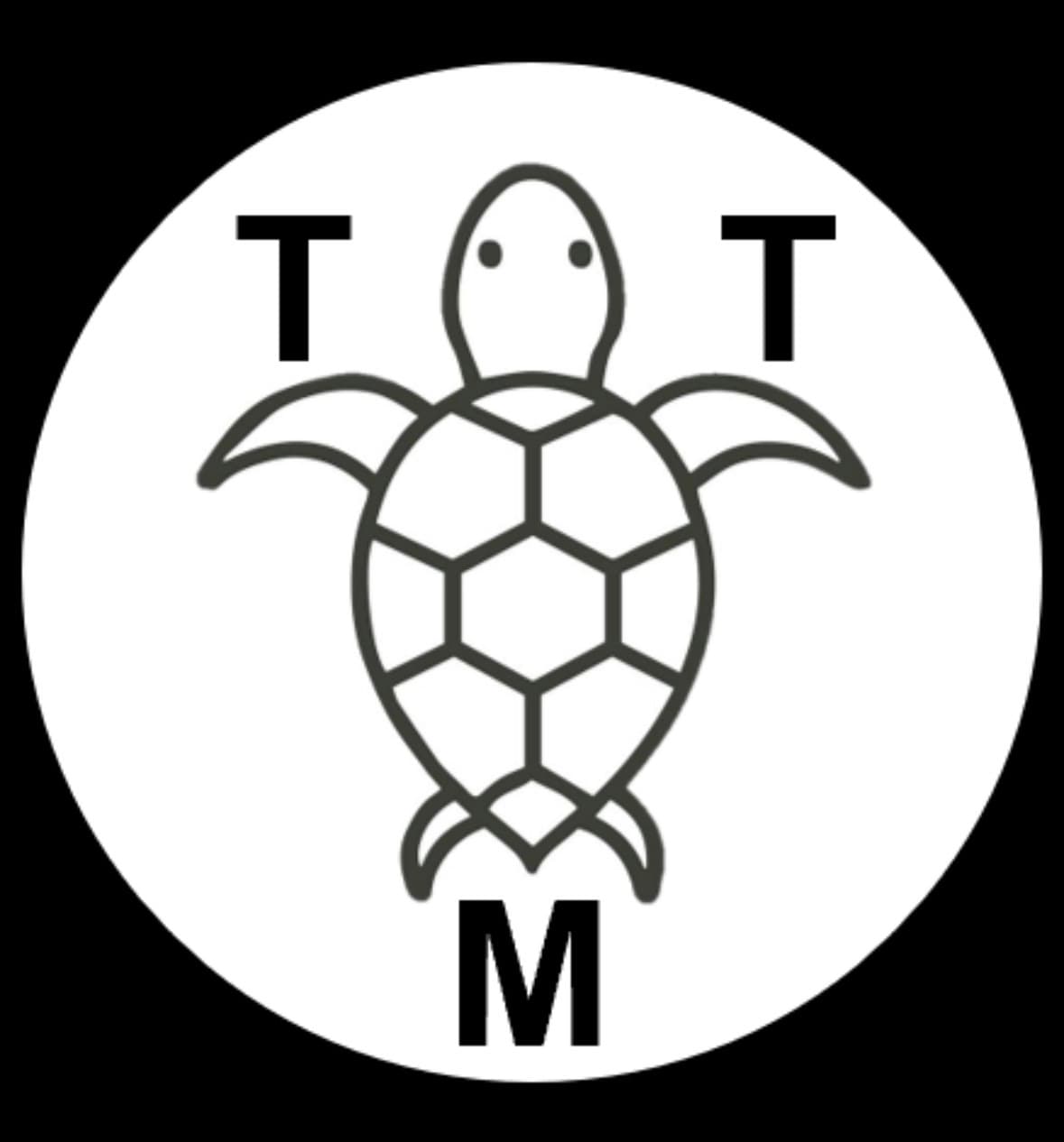 theturtlemoves